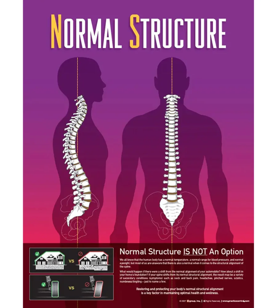 chiropractic care for back pain Eureka