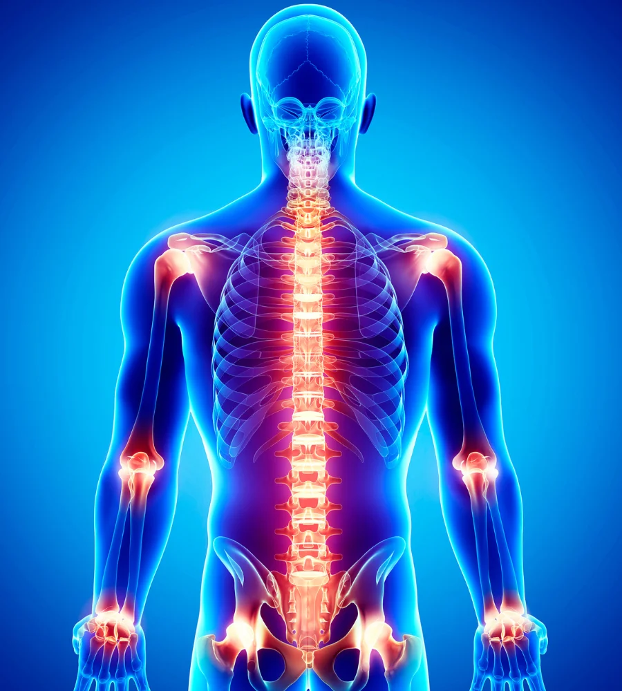 chiropractic care for back pain Eureka
